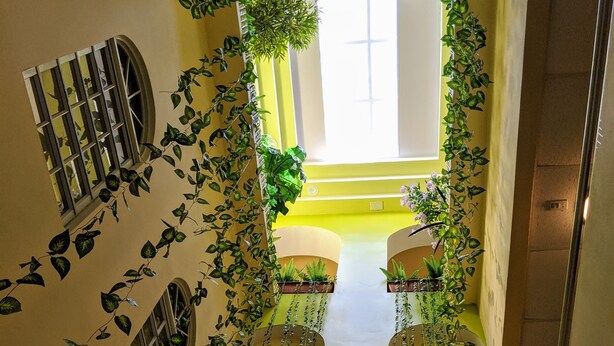 A corridor with a green carpet, walls adorned with climbing plants, and a window at the end.
