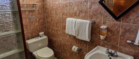 A bathroom with a toilet, sink, and a mirror.