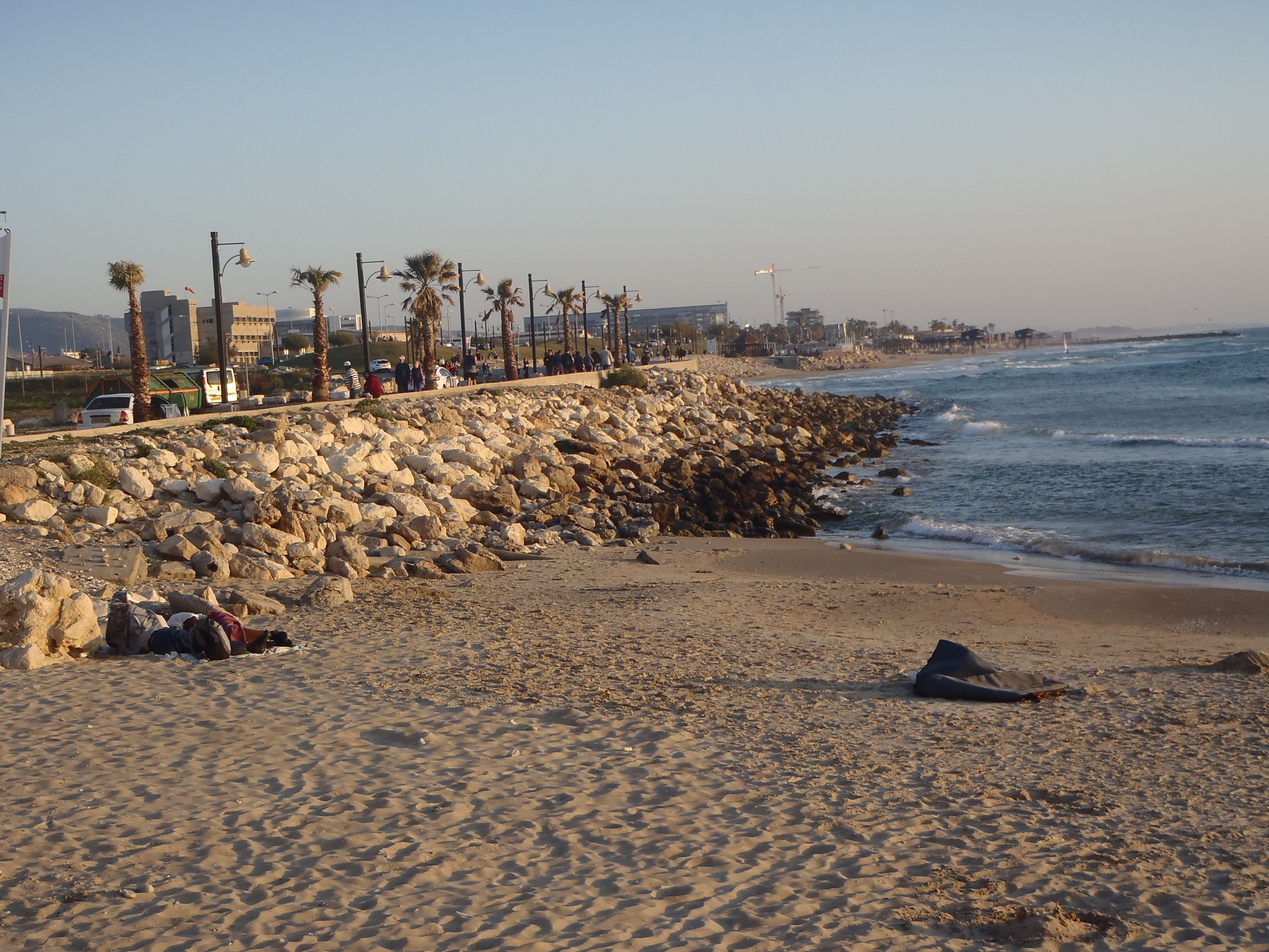 A sandy beach with a rocky breakwater, palm trees, and a clear sky.