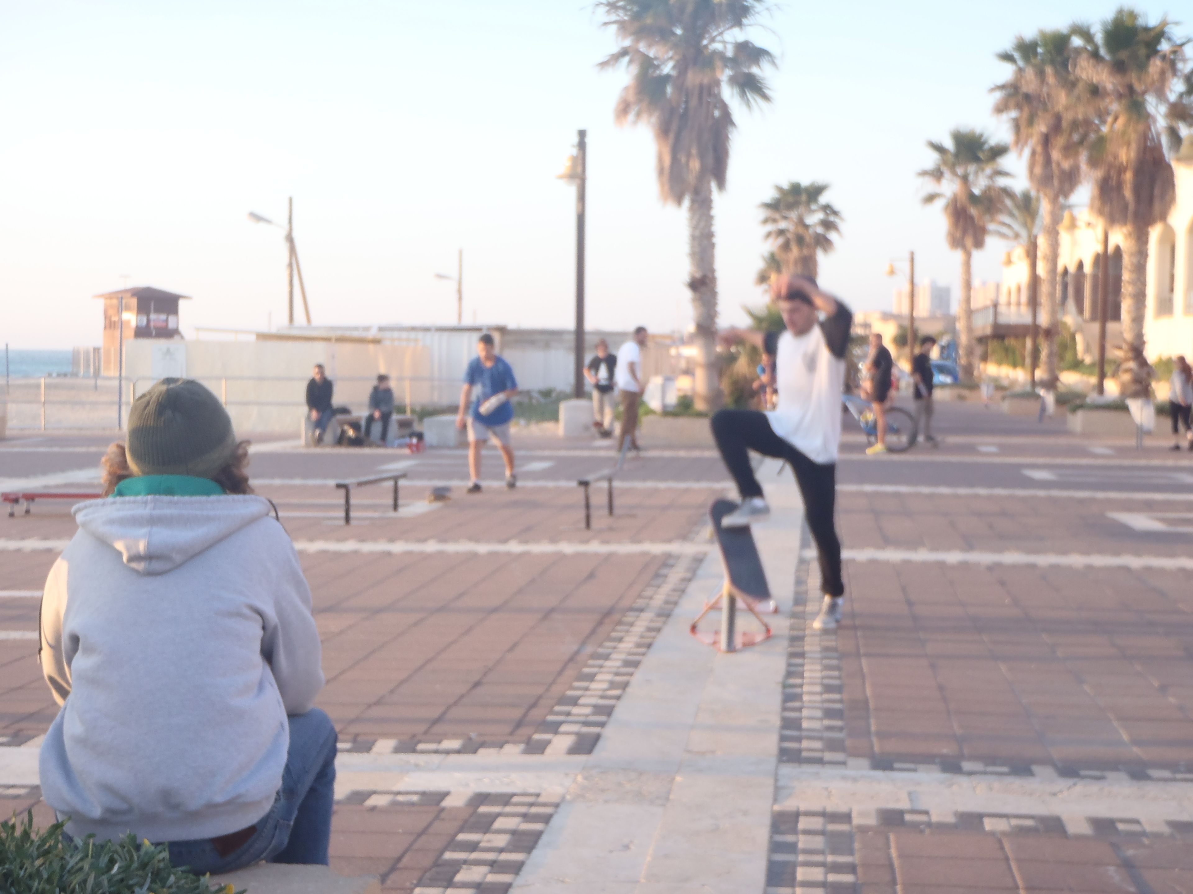 En offentlig plads med en skateboarder der udfører et trick, folk der sidder på bænke, og palmer i baggrunden.