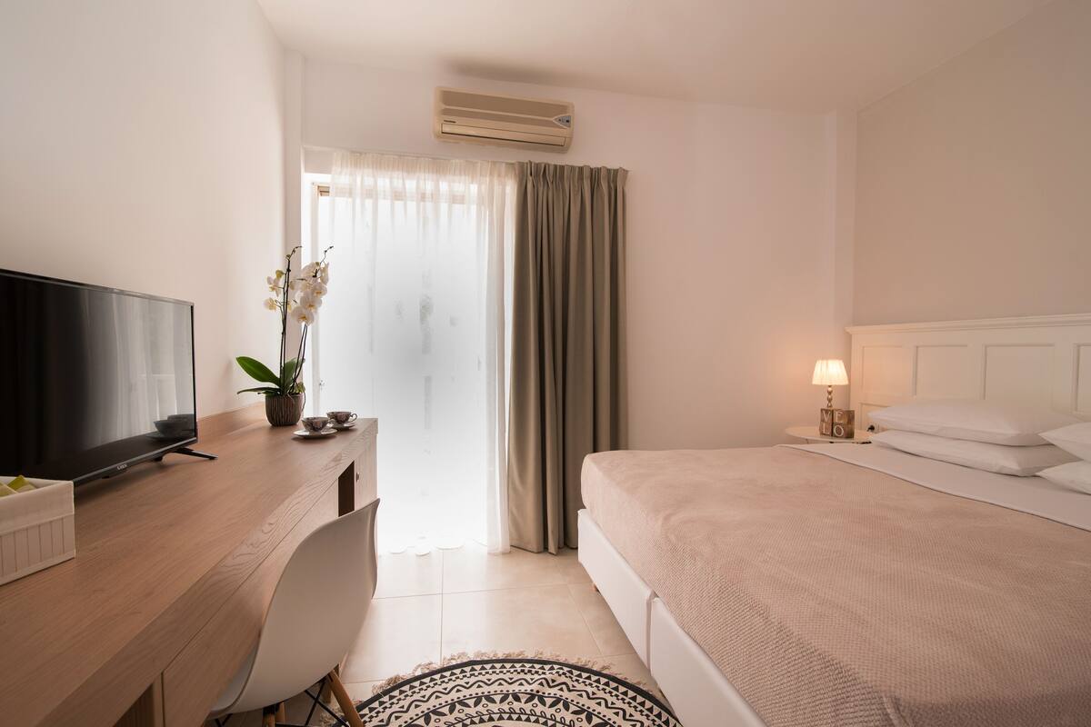 Habitación de hotel con cama, escritorio con televisor, una silla, mesita con planta y mesita de noche con lámpara.