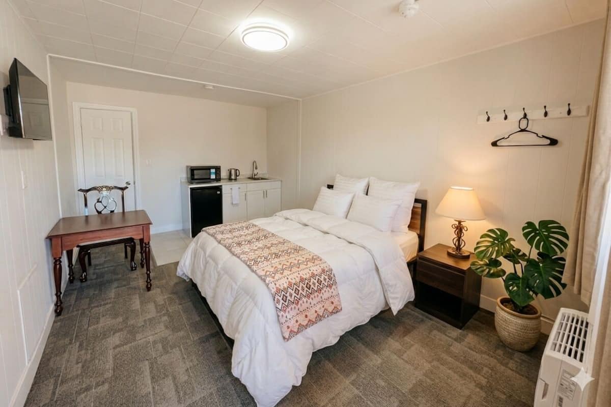 Un dormitorio con cama, mesita de noche, lámpara, planta en maceta y televisor montado en la pared.