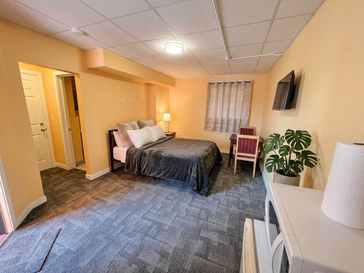 Een hotelkamer met een bed, een stoel, een televisie, een plant en een badkamer.