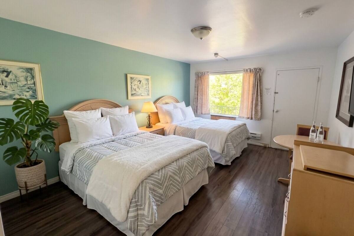 Una habitación con dos camas, una mesita de noche con lámpara, una planta en maceta, un ventanal con cortinas y un escritorio de madera con botellas.