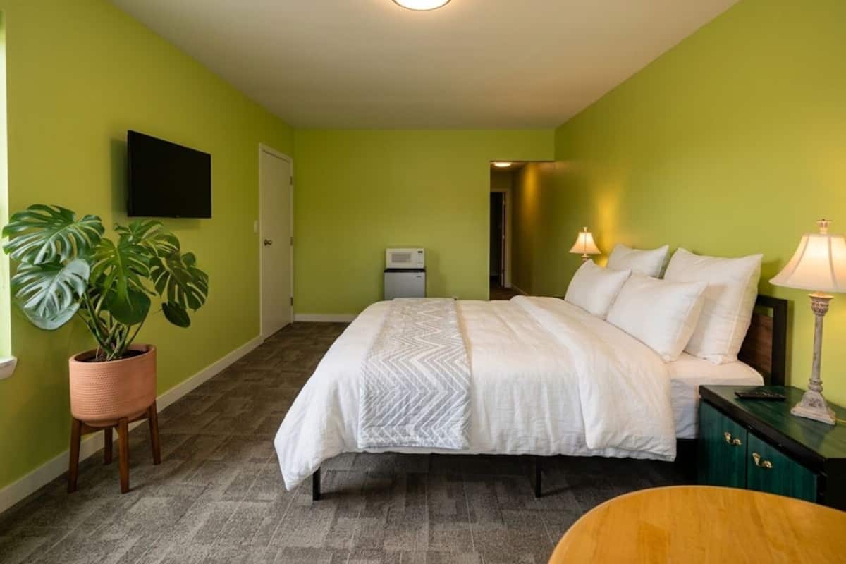Un dormitorio con cama, lámparas de noche, televisor, planta en maceta y microondas.