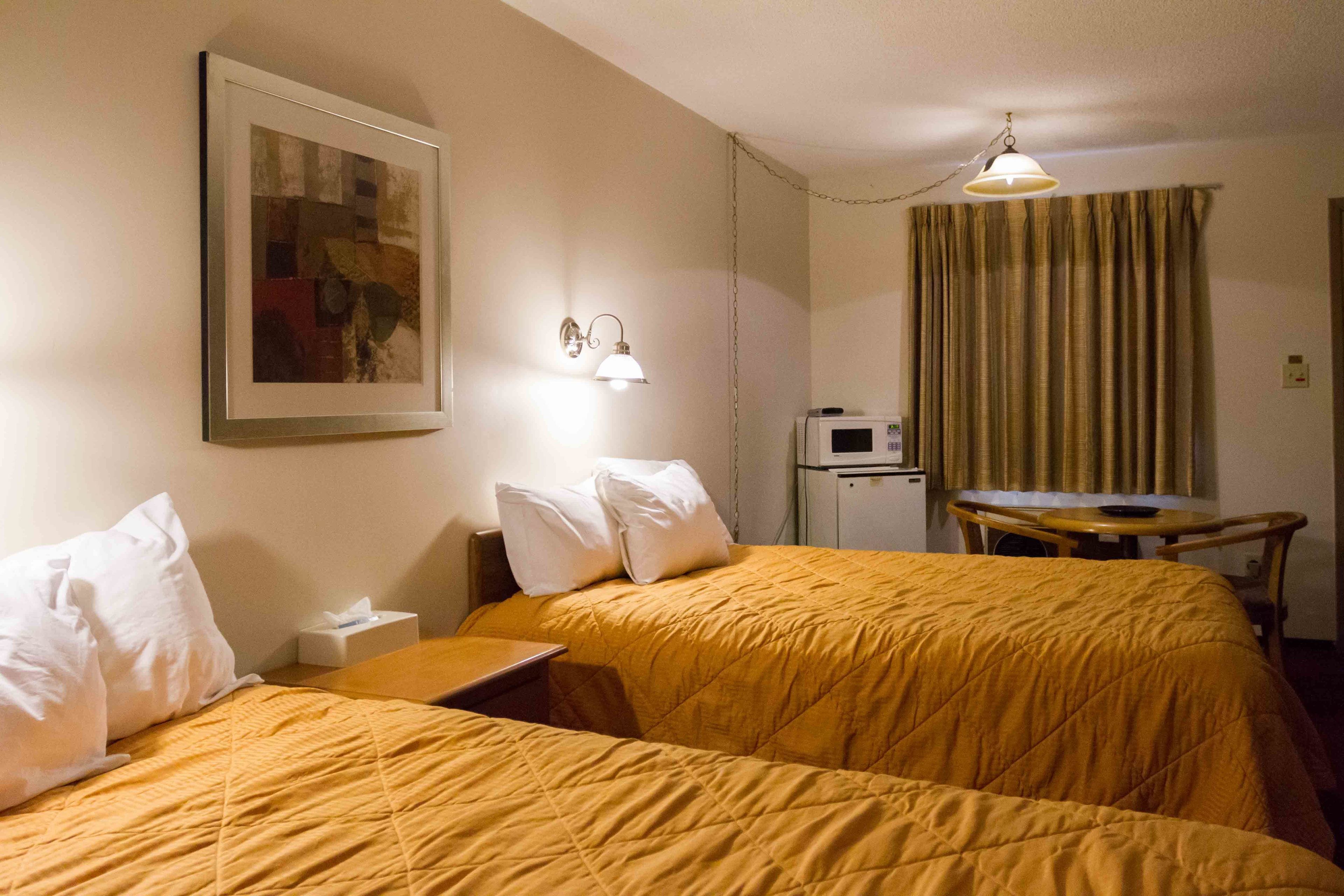 Une chambre d’hôtel avec deux lits, une table de chevet, une lampe, un tableau au mur, un four à micro-ondes et un rideau.