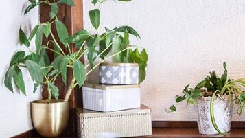 A corner with a brick wall, a wooden ledge, and three potted plants.