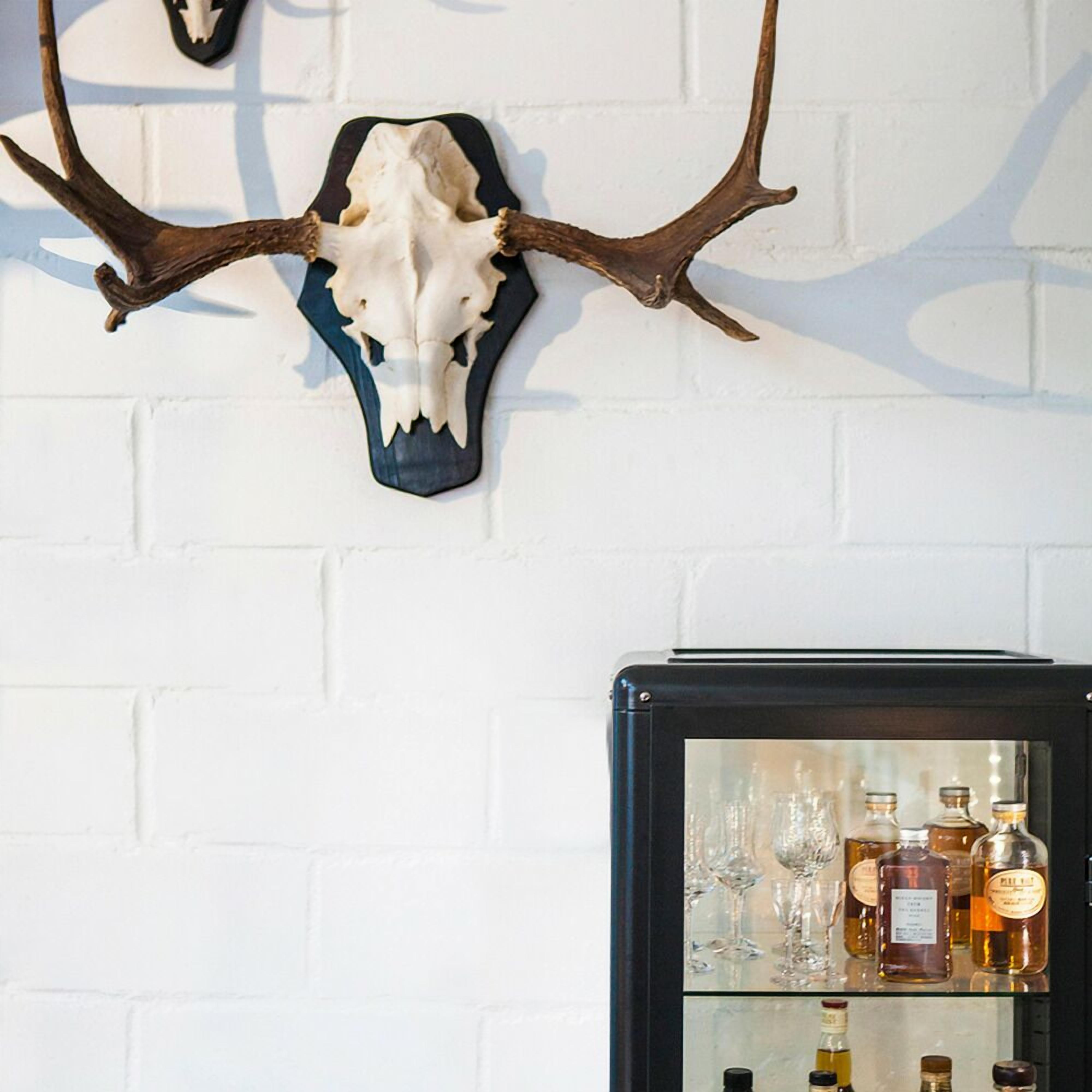 Un crâne de cerf monté au mur, avec ses bois, et un coin bar avec des bouteilles et des verres.