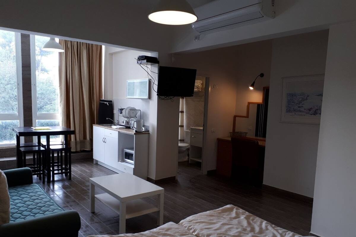 A compact living space with a kitchenette, a dining area, and a seating area with a sofa and a small table.