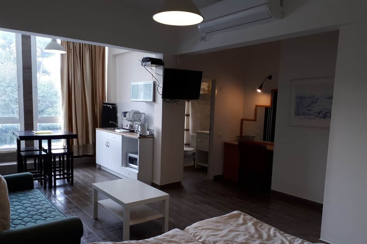 Family Studio | Desk, iron/ironing board, free WiFi