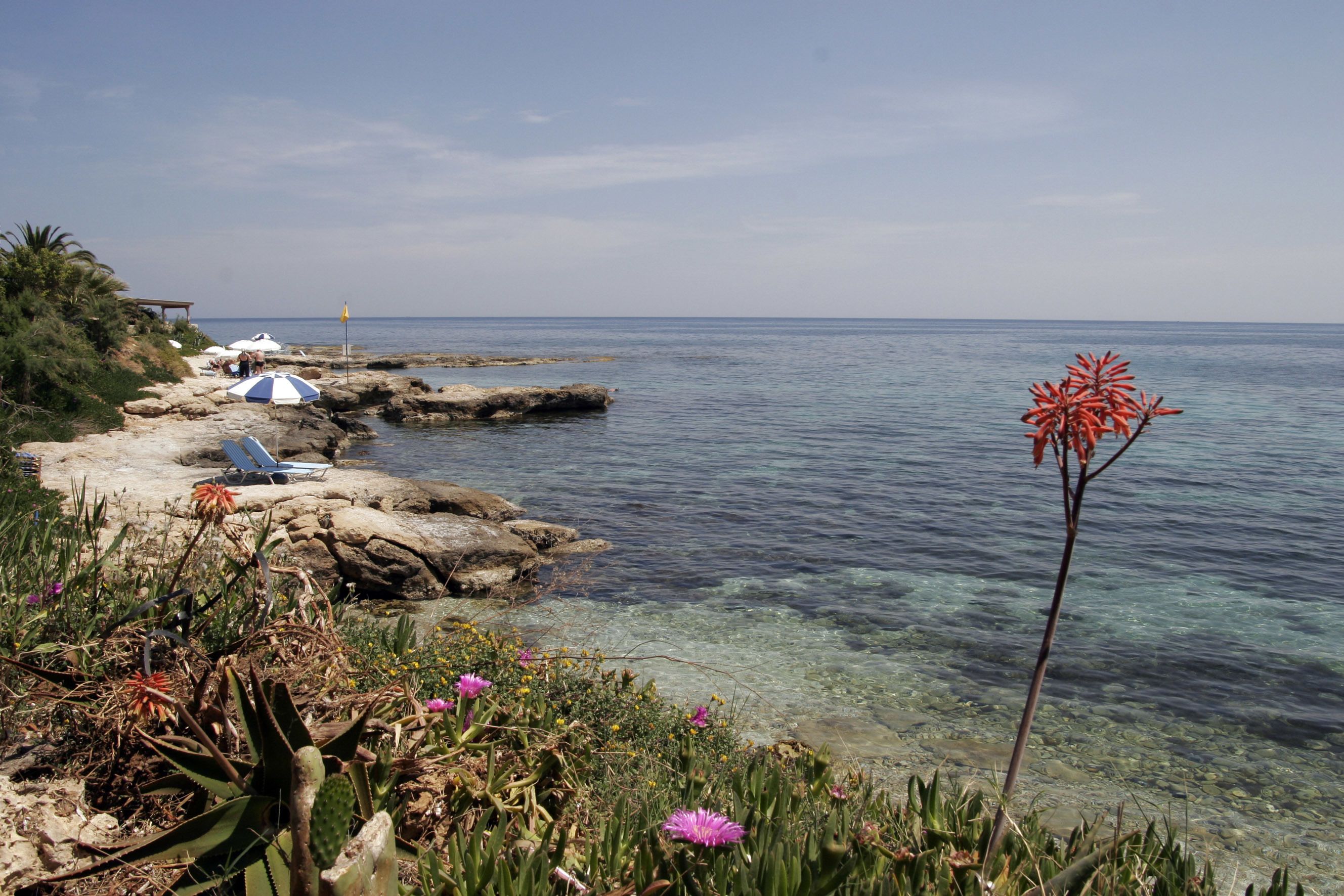 beach nearby, beach bar
