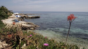 A rocky shoreline with clear water, a few umbrellas, and a cactus plant.