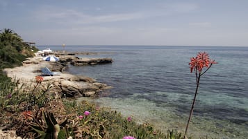 Plage à proximité, bar de plage