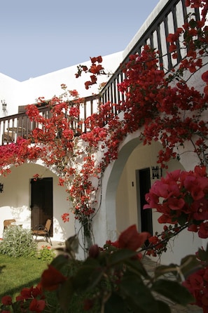 Exterior - Hersonissos Maris (Hersonissos)
