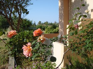 Standard Room, Balcony | Terrace/patio