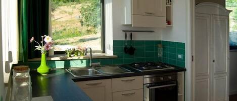 A kitchen with a gas stove, oven, and sink. There is a window with a view of greenery outside.