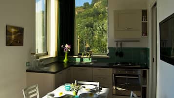 Panoramic Apartment, 1 Bedroom | Private kitchen