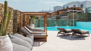 Un área de piscina en la azotea con sillones de descanso, una pérgola y una planta de cactus.