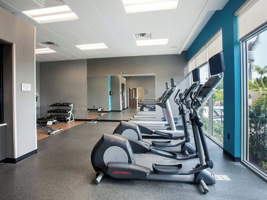 A gym with treadmills, dumbbells, and a weight rack.