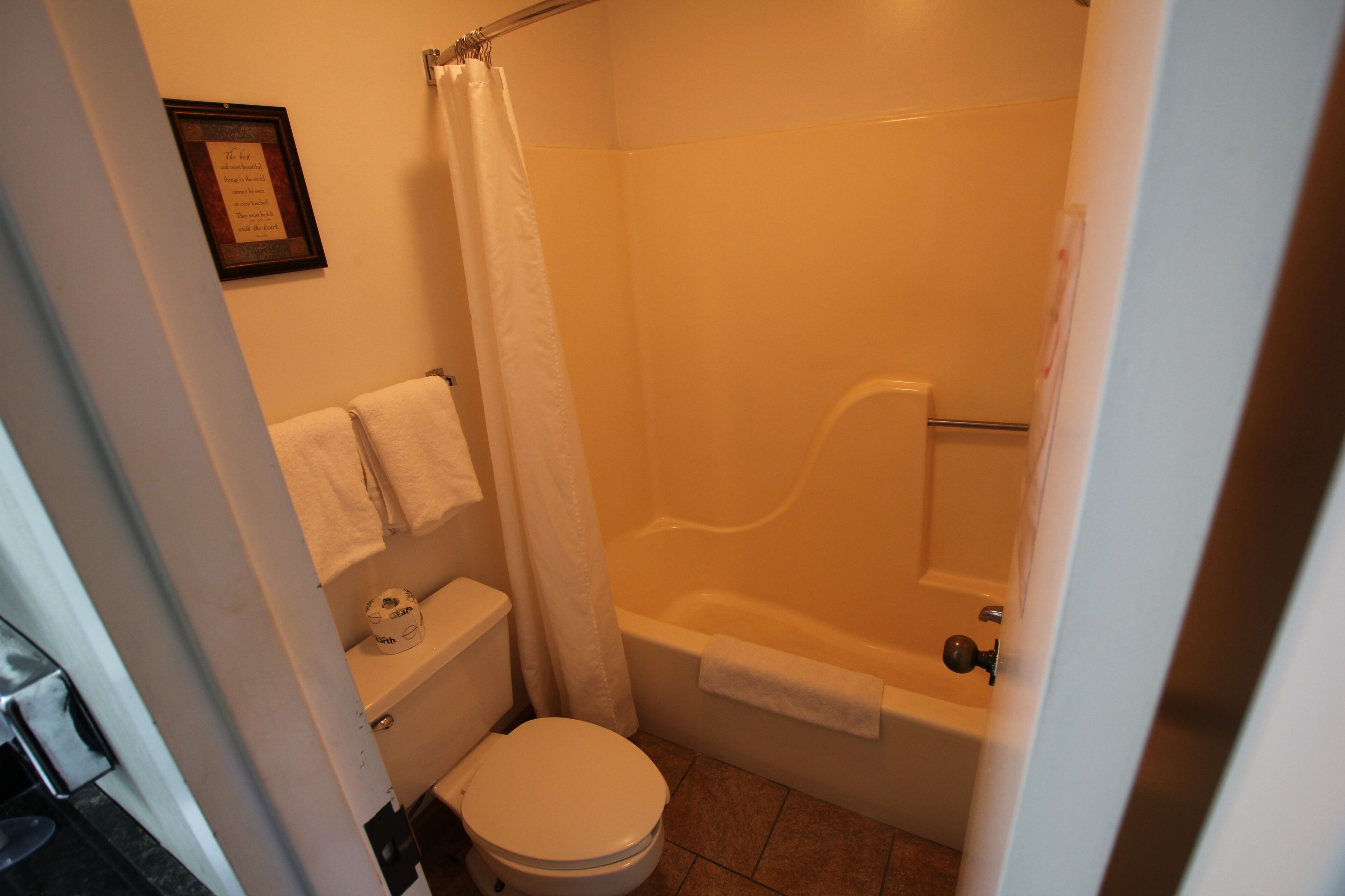 A bathroom with a toilet, a bathtub, and a shower curtain.