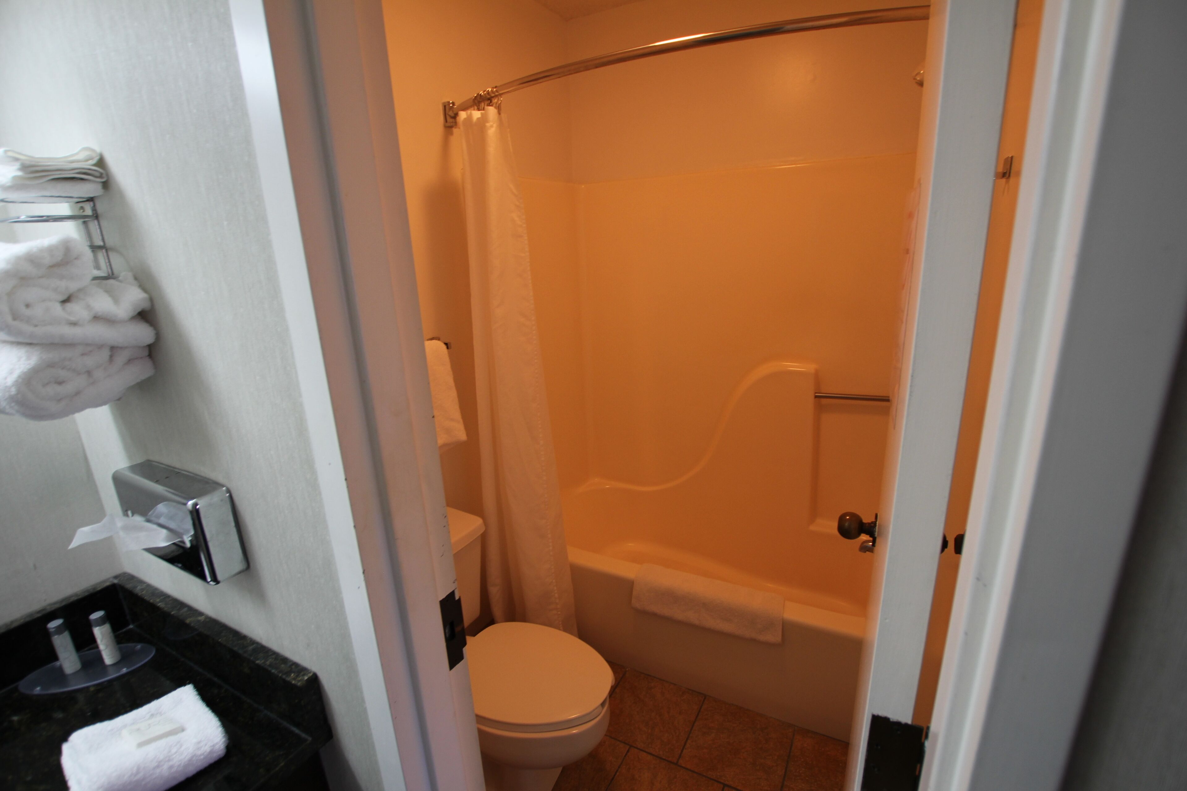 A bathroom with a toilet, a shower, and a sink with a towel rack.