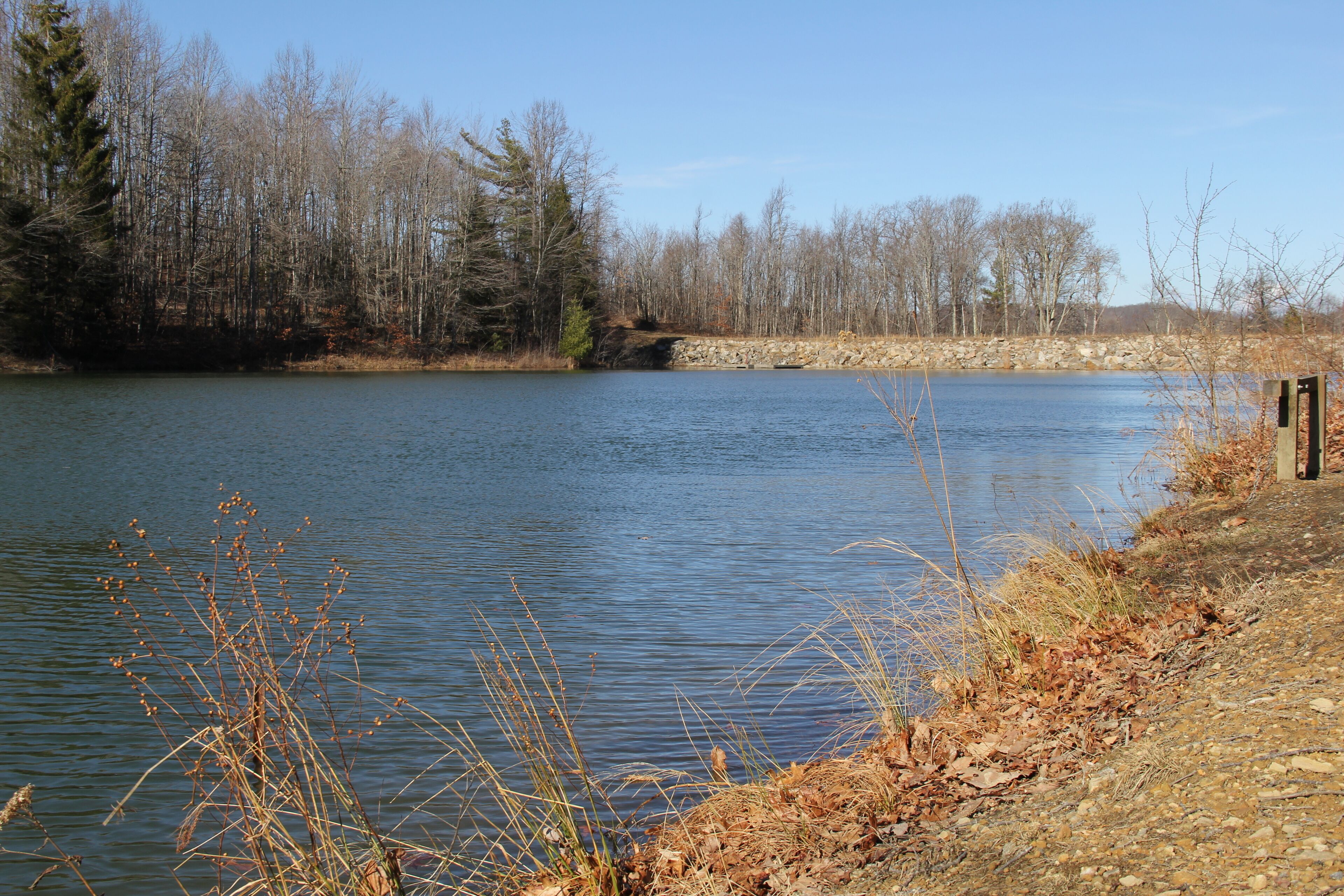 A calm lake with a rocky shoreline and sparse vegetation.