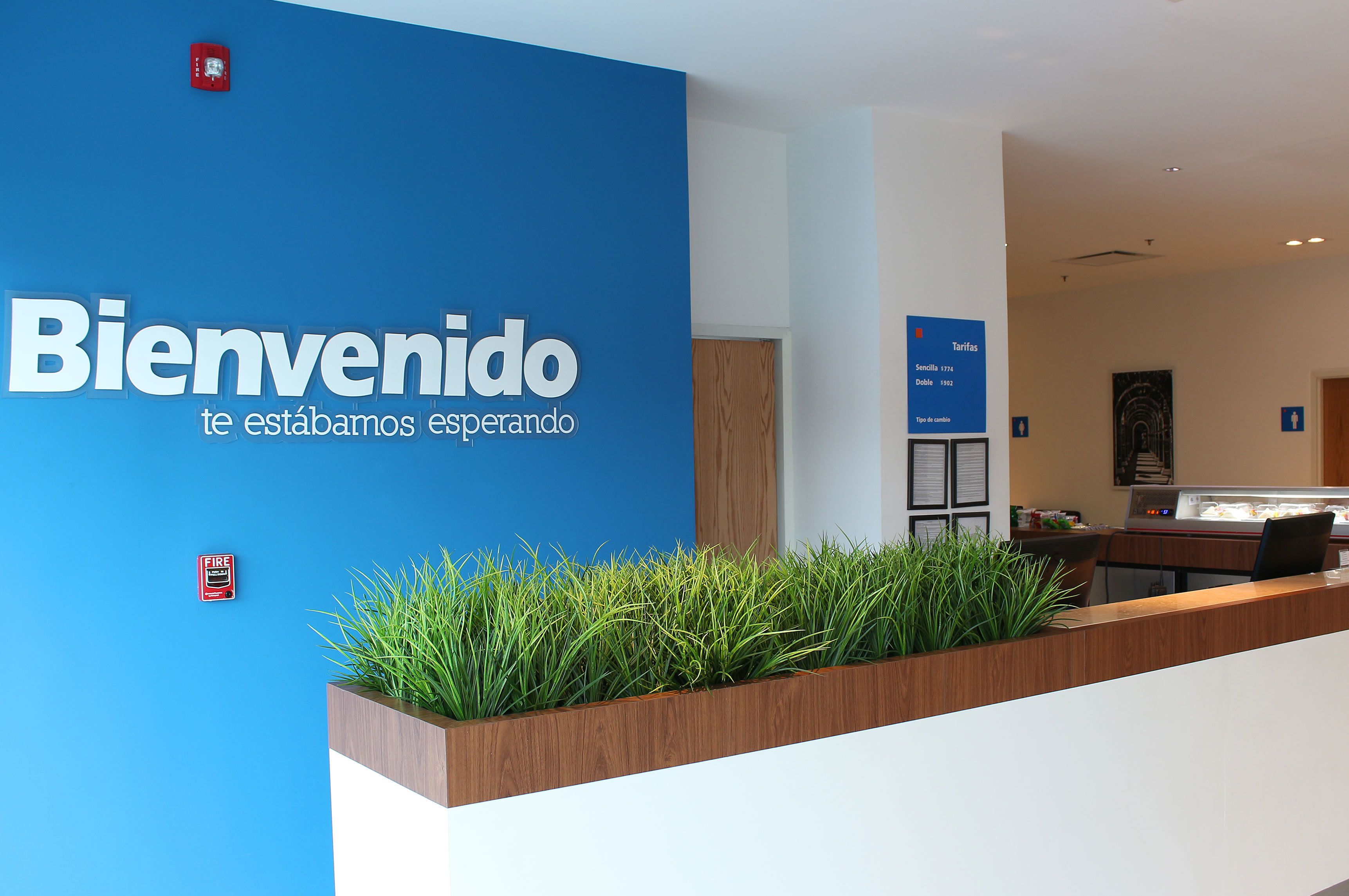 Zona de recepción con pared azul, un cartel de bienvenida, un detector de incendios y una planta.