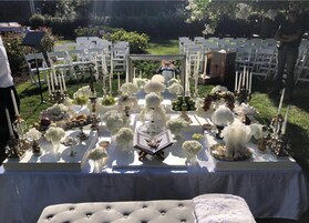 Outdoor wedding area