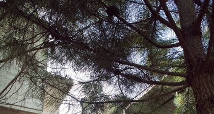 V & D Casas - Mar Azul