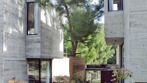 Una casa moderna con terraza de madera, un árbol grande y un pequeño jardín.