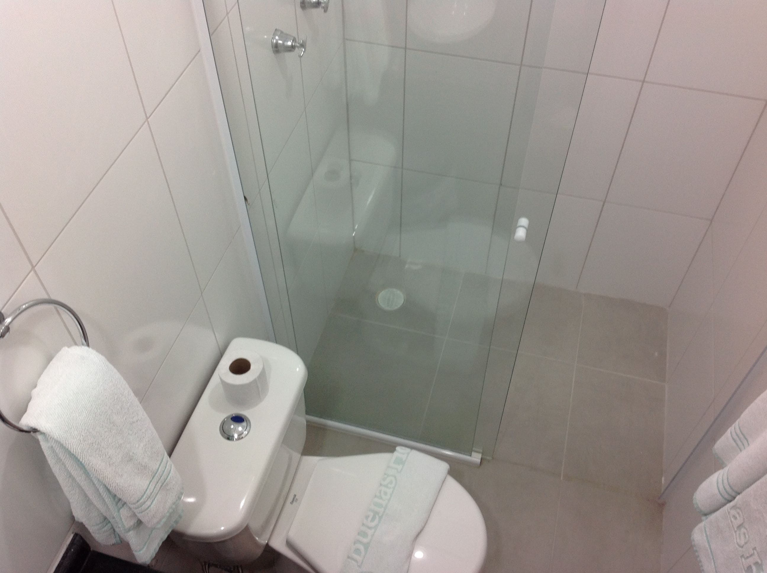 Een badkamer met een glazen douchecabine, toilet en een handdoekhouder.