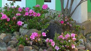 Exterior detail - Hotel Porto de Paz (São Francisco do Sul)
