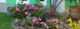 Hotel Porto de Paz