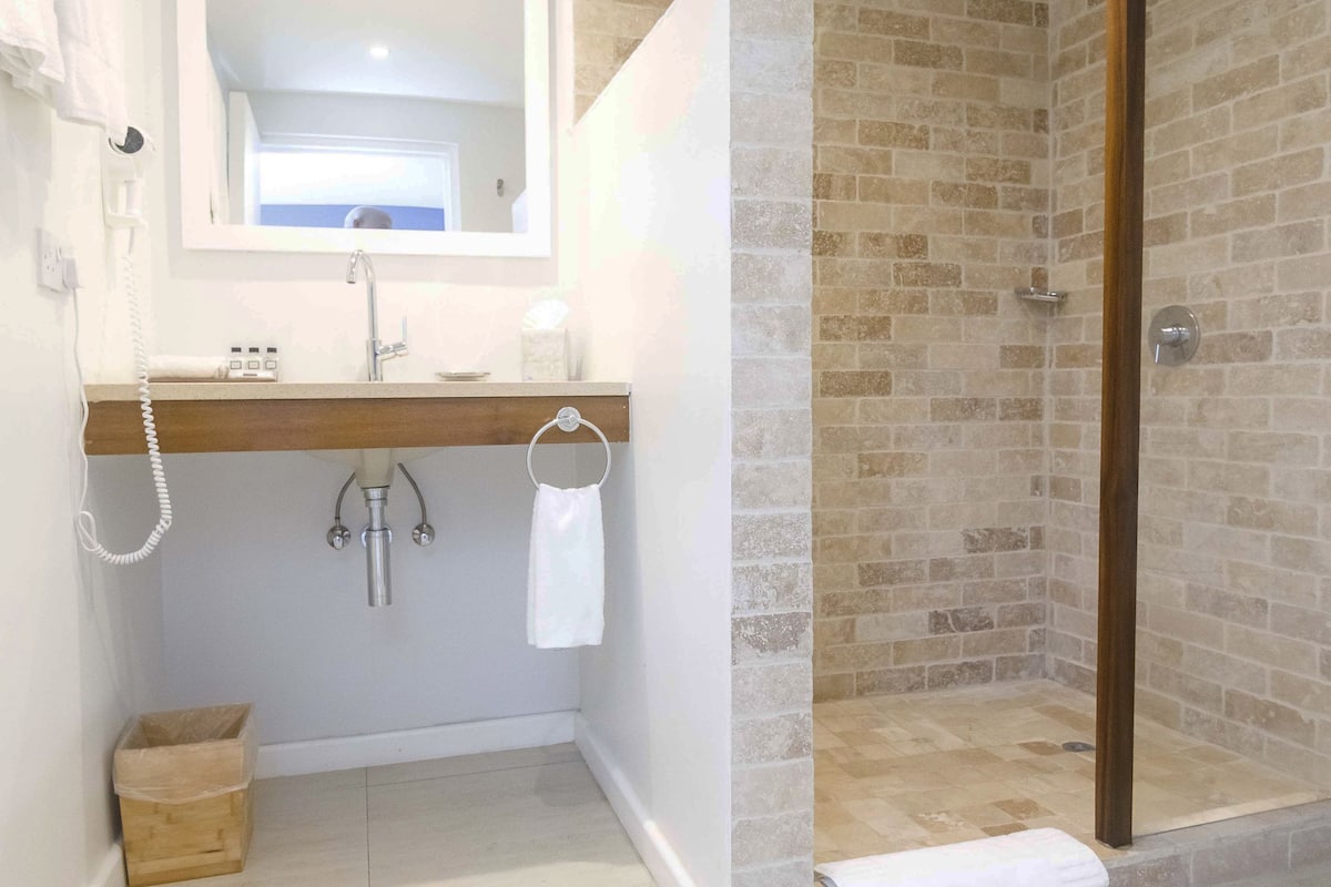 shower, rainfall showerhead, free toiletries, hair dryer