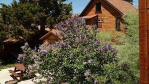 A wooden cabin with a pitched roof, surrounded by trees and a flowering bush. - June Lake Villager (June Lake)