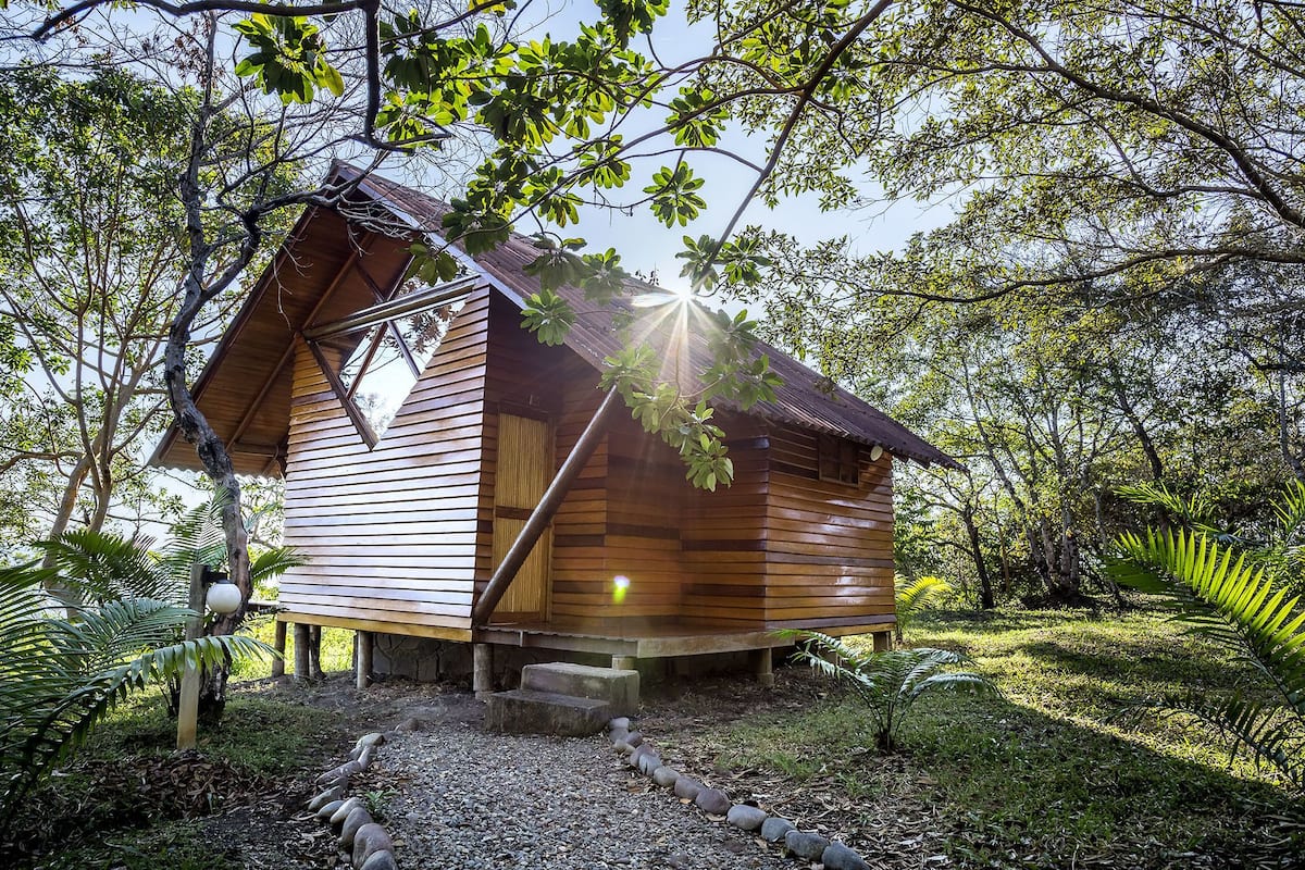 A wooden cabin with a sloped roof, surrounded by dense foliage and a gravel path leading to the entrance.