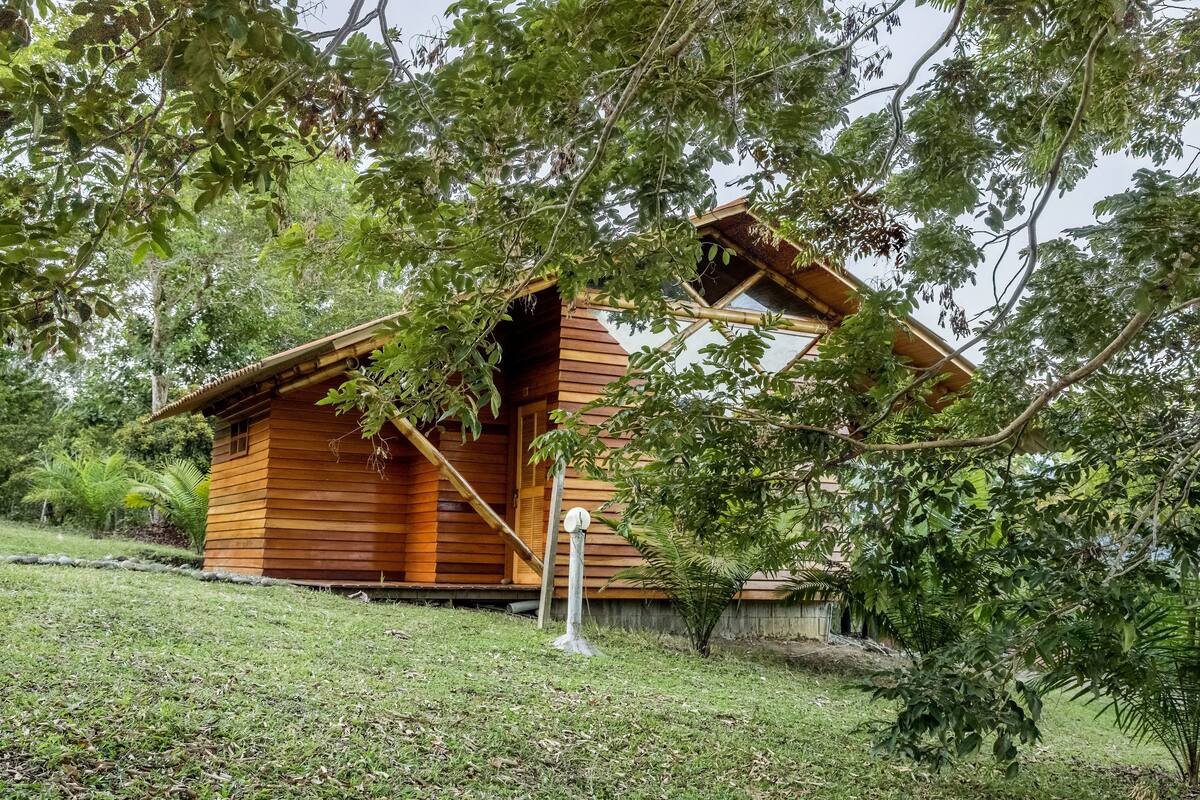 A wooden cabin with a sloped roof, surrounded by lush greenery and trees.