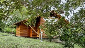 Habitación doble superior | 1 habitación, ropa de cama de alta calidad y edredón