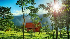 A wooden cabin surrounded by lush greenery and mountains in the background. - Huasai Wasi Ecolodge (San Antonio de Cumbaza)