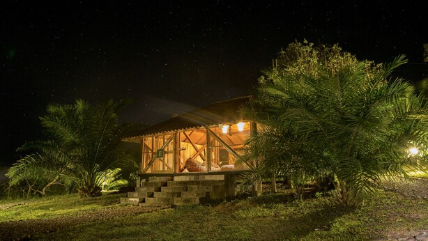 A wooden cabin with a balcony, surrounded by palm trees and under a starry night sky. - Huasai Wasi Ecolodge (San Antonio de Cumbaza)