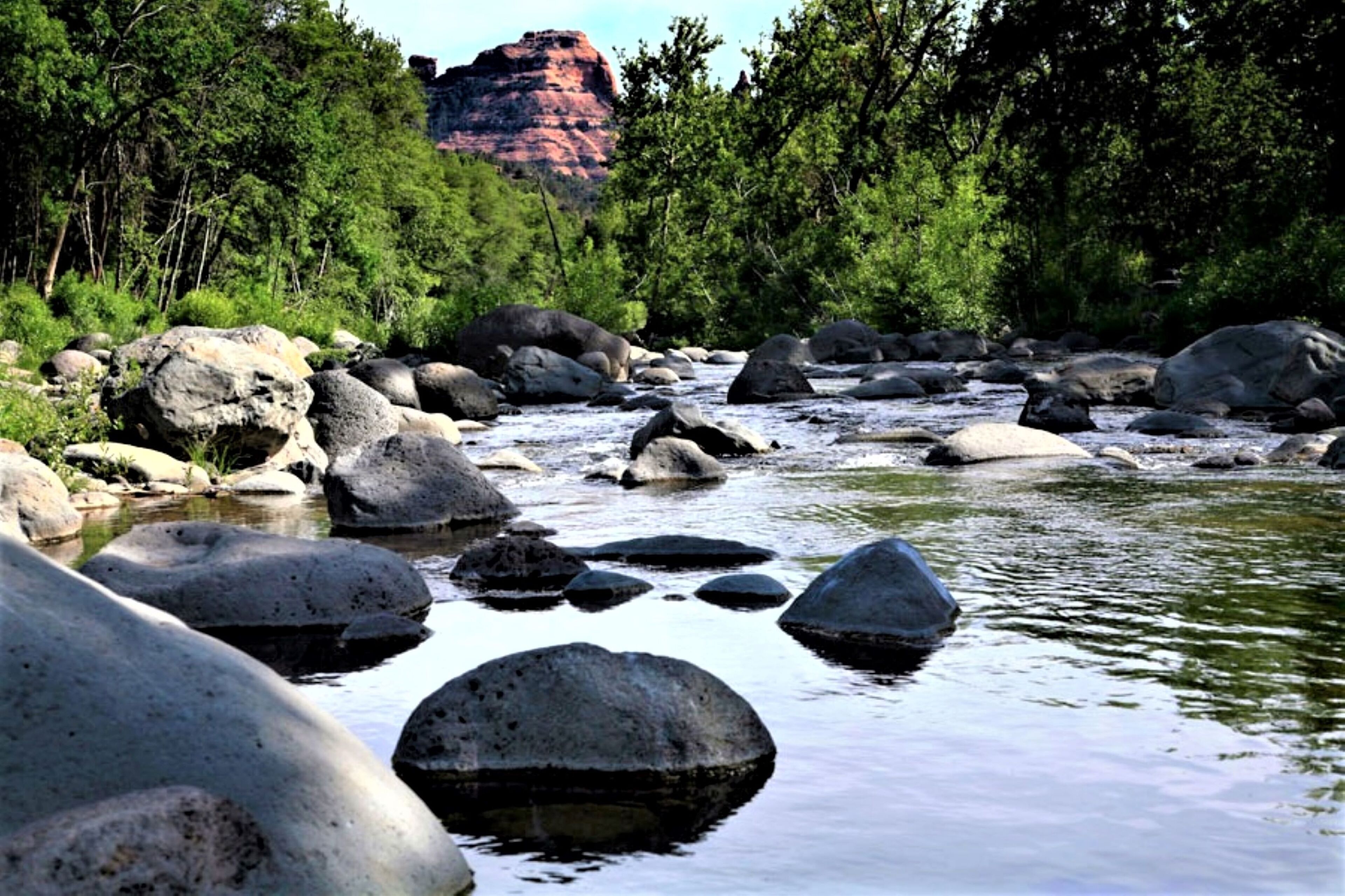 A river with large rocks and trees in the background.