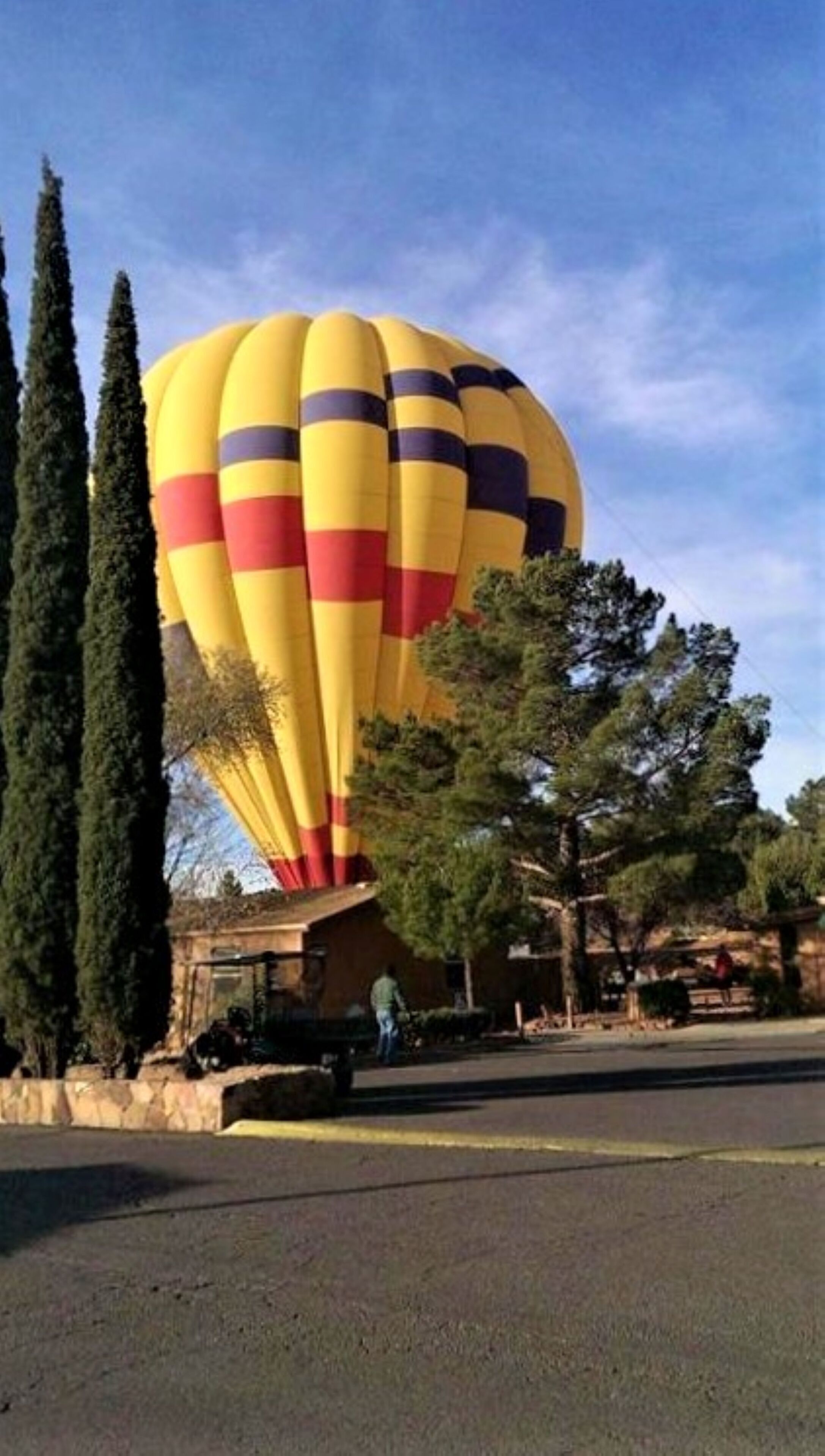 A large hot air balloon parked in a parking lot with tall cypress trees nearby.