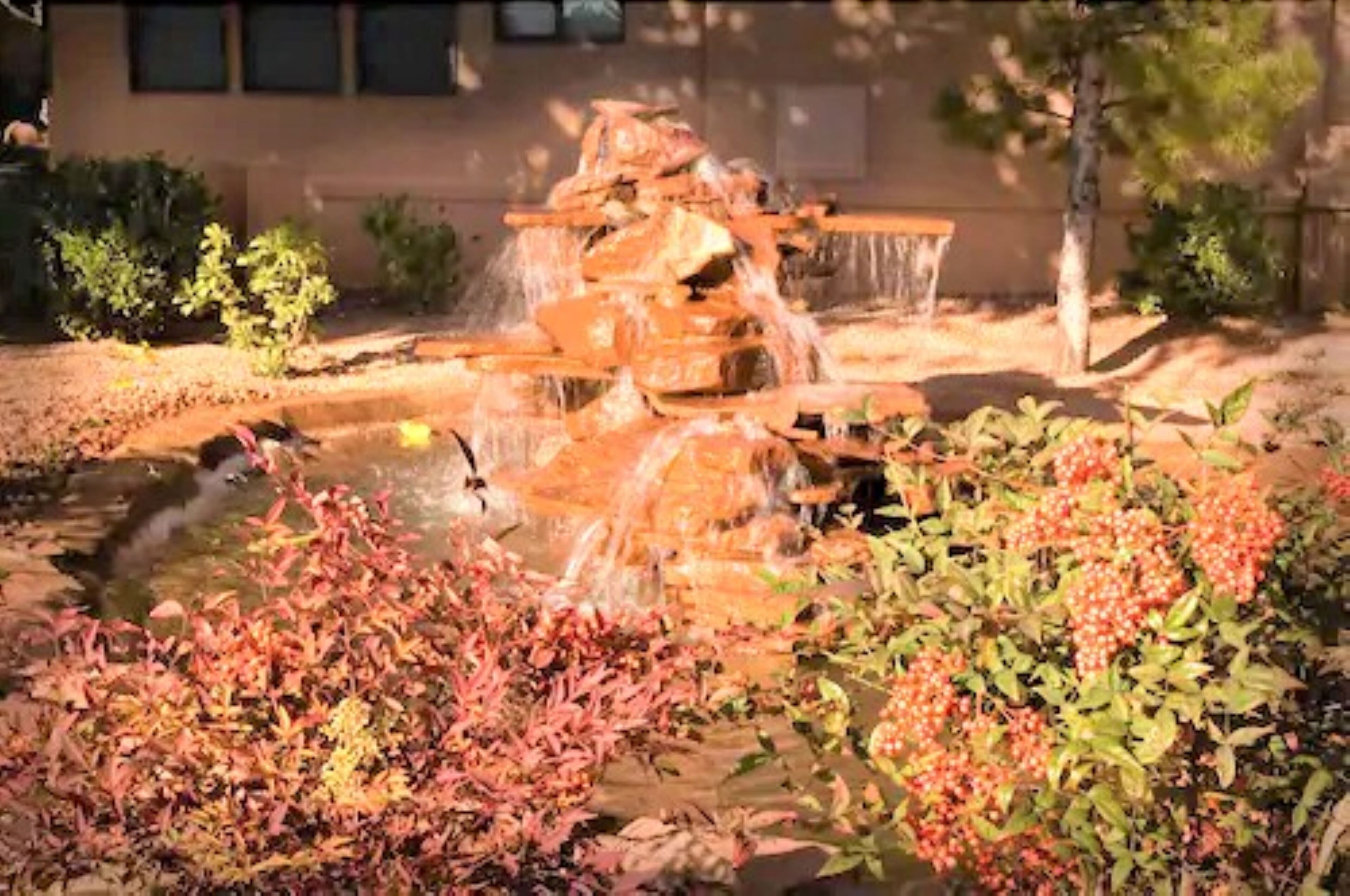 A fountain with water cascading over rocks, surrounded by autumn foliage.
