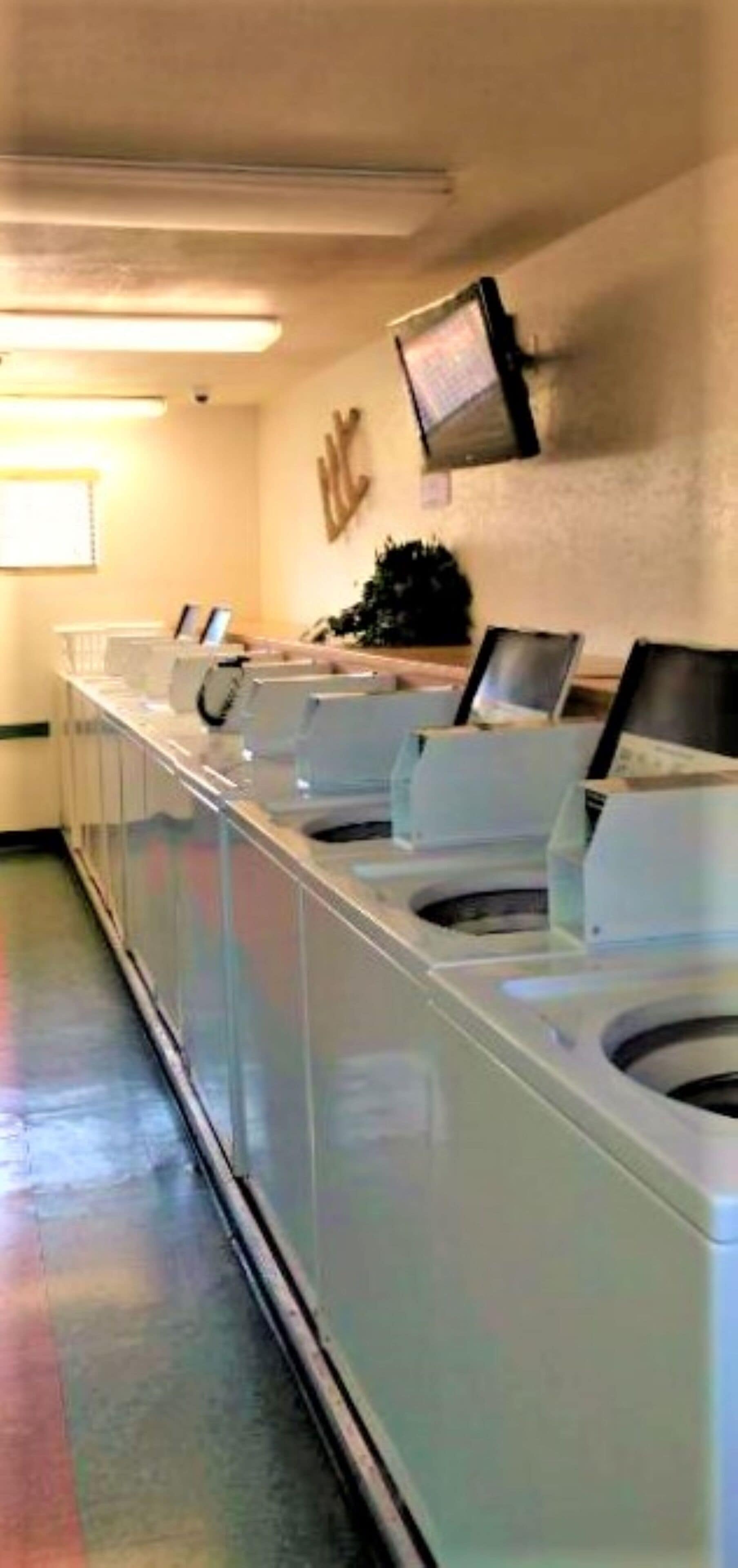Een rij wasmachines en drogers in een commerciële omgeving.