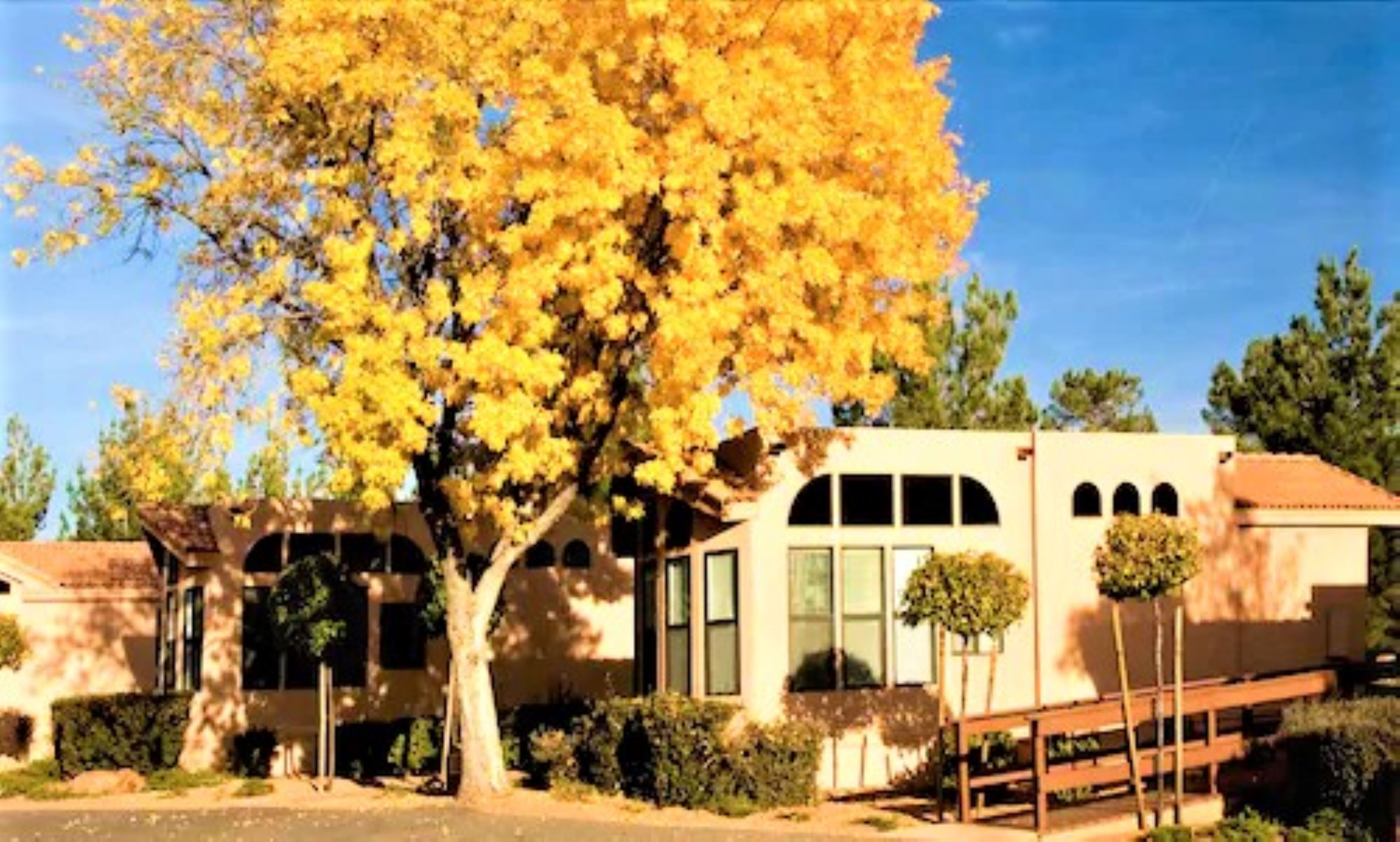 A building with a large tree in front, a covered walkway, and a clear blue sky.