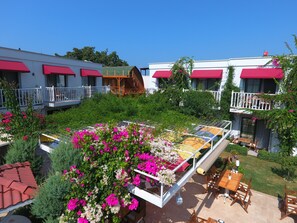 Uitzicht vanuit accommodatie