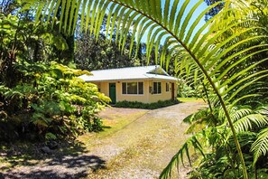 واجهة المنشأة