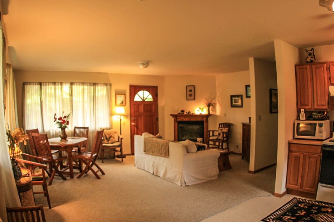 TV, fireplace, DVD player