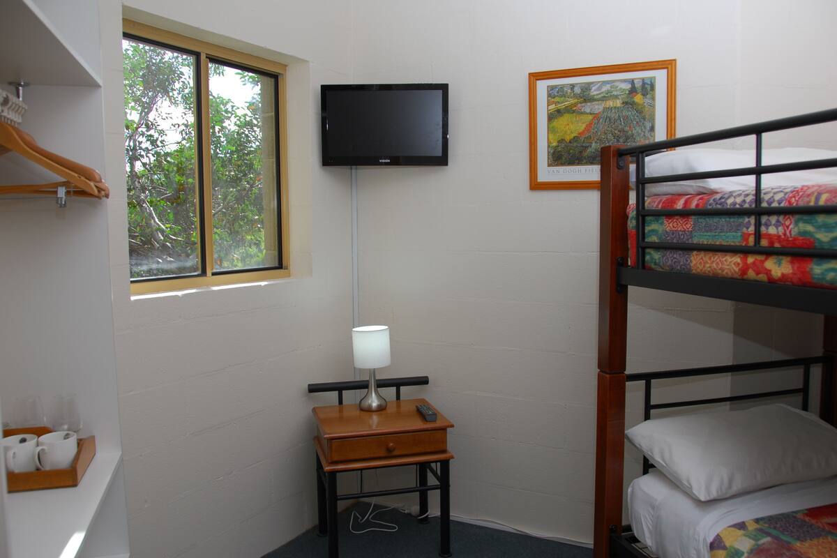A bedroom with a bunk bed, a bedside table with a lamp, a TV mounted on the wall, and a window with a view of trees.