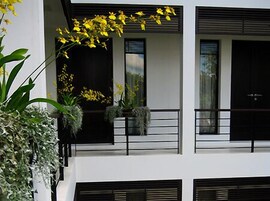 A modern building with balconies, large windows, and potted plants.